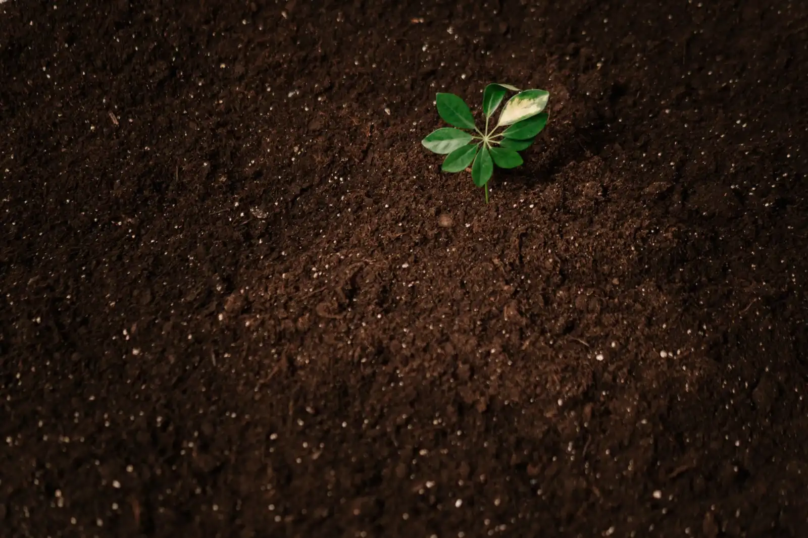 大数据智能分析技术在政务场景中的应用实践